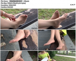 ģļϵС (18)